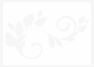 Flower Ornament 6 Wallstickers - Ornaments Black And White Flowers Png