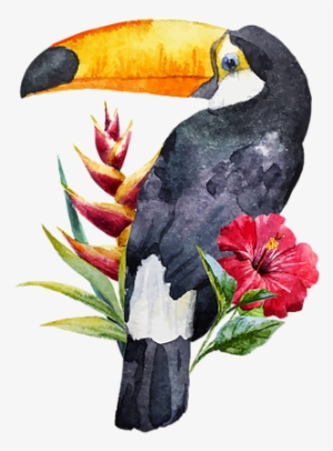 Toucan Watercolor