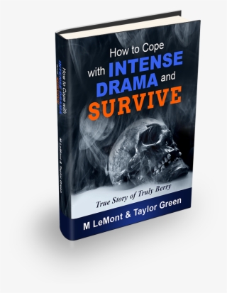 The Devil Is Sly And Cunning - Jazz Guitarist