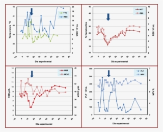 Efectos En La Temperatura Y Parámetros Hematológicos - Diagram
