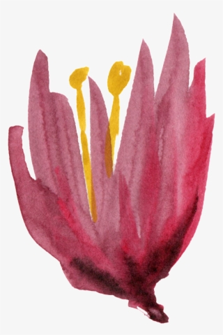 Dibujado A Mano Decoracion De Flores Pintado A Mano - Lily