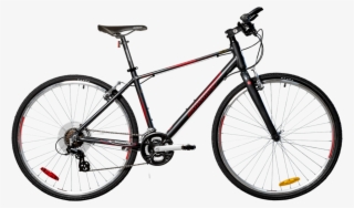 Boss One St - Fuji Absolute 2.3 2018