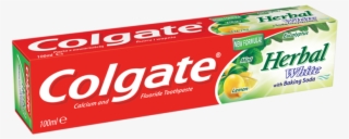 620499 Colgate Hambapasta Herbal White 100ml 12*100ml