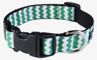 Collar - Strap