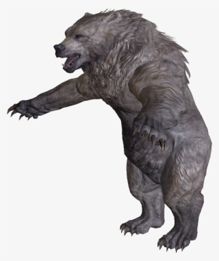 Snow Bear - Skyrim Bear Png