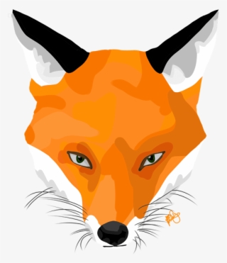Fox Head Png - Red Fox