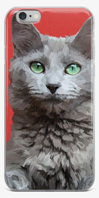 Morgaine The Cat - Russian Blue