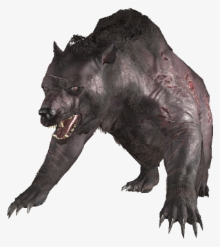 Shaggy Yao Guai - Fang