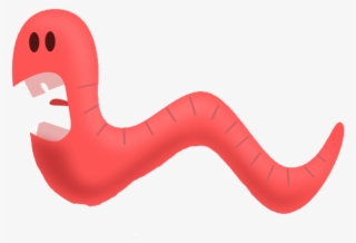 Worms Png Picture - Marine Invertebrates