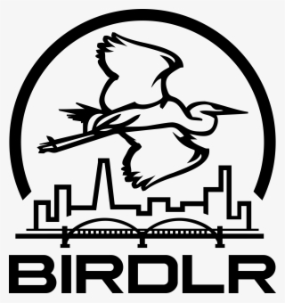 Early Birds & The Worms