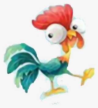Rooster