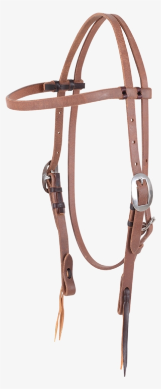 Hb21ant - Halter