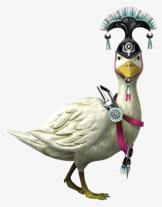 Parrot