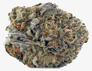 Special Sauce Cbd - Igneous Rock