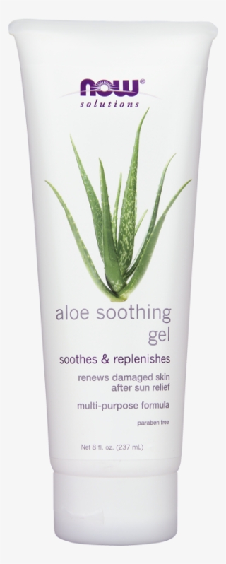 Product Description - Agave
