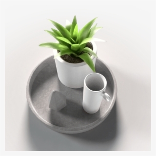 Aloe Vera Plant Imeshh - Flowerpot