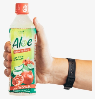 Pomegranate - Juicebox