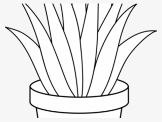Aloe Clipart Succulent - Houseplant