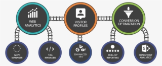 Matomo Complete Analytics - Sharepoint