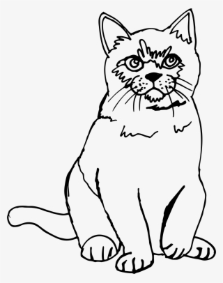 Clipart - Sketch Picture Of Cat