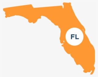 About The Law Center - Florida With No Background