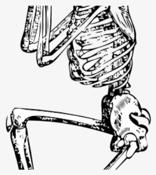 Sleleton Clipart Small Skeleton - Skeleton Drawing Png