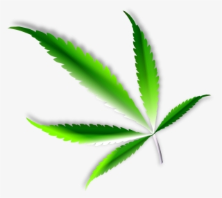Marijuana Leaf Png - Cannabis Leaf High Resolution