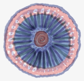 Digital Mandala Pink And Blue Blank Backround Low Res - Circle