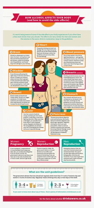 How Alcohol Affects Your Body Alcohol Awareness - Safe Drinking Alcohol Infographic