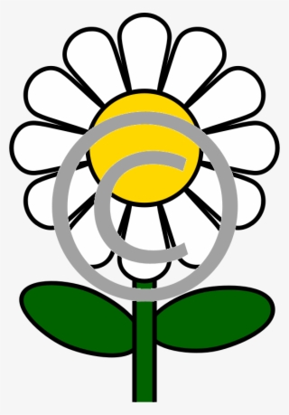 White Daisy - Free Daisy Coloring Pages