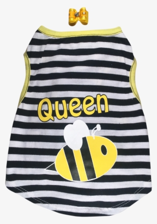 Additional Information - Bathing Suits Styles