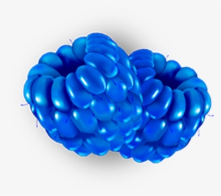 Ca $29 - Seedless Fruit