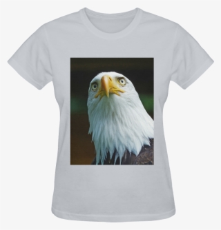 American Bald Eagle Head 001 14 Sunny Women's T-shirt - Bald Eagle
