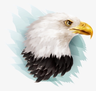 Eagle Illustration