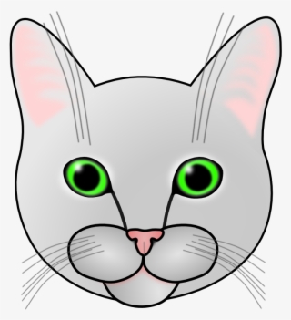 Cat A - Domestic Short-haired Cat