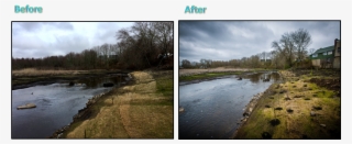 None Of This Would Have Been Possible Without The Hard-work - Tree