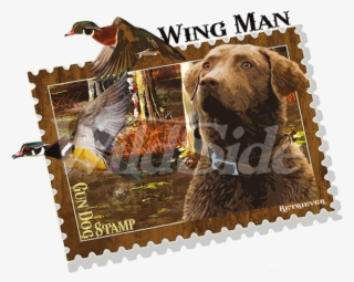 Gun Dog Hunting Stamp - Postage Stamp