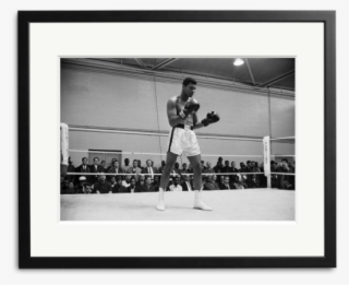 Image Of The Day - Photograph