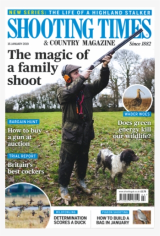 Shooting Times