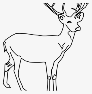 White Tailed Deer Clip Art Whitetail Deer Clip Art - Deer Clip Art