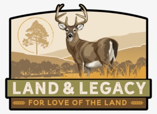 Load Image Into Gallery Viewer, Whitetail Deer Conservation - Reindeer