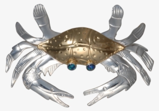 Chesapeake Blue Crab