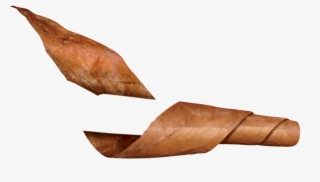 200 Cigars Rolled Per Day - Tobacco Leaf Cigar Png