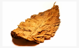 100% All Natural Whole Leaf Tobacco - Autumn