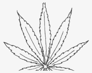 Drawn Weed Tobacco Leaf - Weed Leaf Pumpkin Carving Stencils