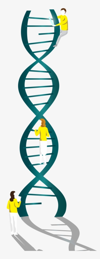 Game Changers - Phd Symposium Embl