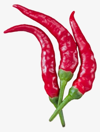 Click And Drag To Re-position The Image, If Desired - Serrano Pepper