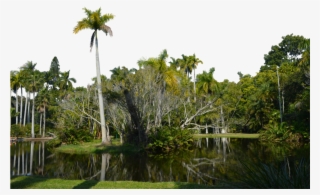 Go To Image - Tropical Island Transparent Background