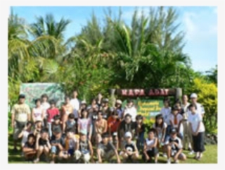 Hamamoto Tropical Fruit World Image - Attalea Speciosa