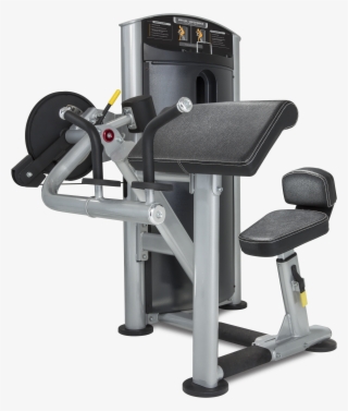 True Force Sd1001 Biceps/triceps - Biceps